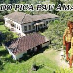 O VERDADEIRO SITIO DO PICA PAU AMARELO
