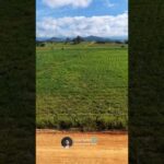 Chácaras à venda em Pindamonhangaba – SP