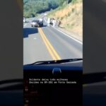 🚨 Acidente Grave na BR-282 em Ponte Serrada Mobiliza SAMU e Bombeiros — Vítimas com Ferimentos