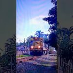 trem em Lorena sp