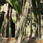 CAMINHOS DA INSPIRAÇÃO E,M LORENA SP
