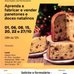 CURSO GRATUITO – Aprenda a fabricar e vender doces natalinos
