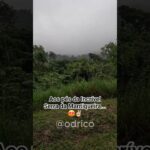 Pelas bandas de Pindamonhangaba-SP…😍✌🏻 #pindamonhangaba #serradamantiqueira #naturelovers #vibes