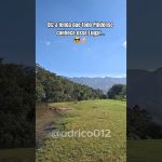Lá pelas bandas de Pindamonhangaba-SP…😎✌🏻 #natureza #vibedodia #pindamonhangaba #naturelovers